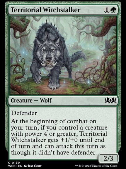 Territorial Witchstalker