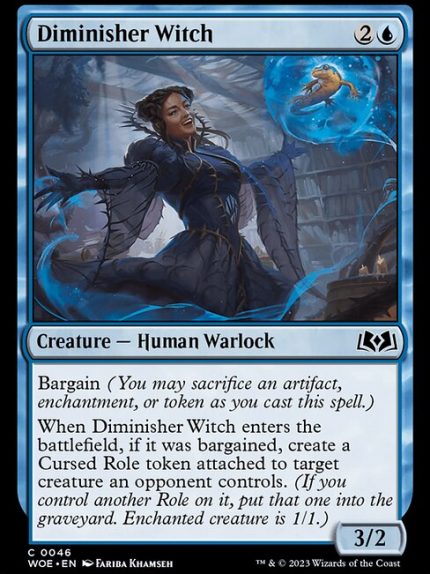 Diminisher Witch