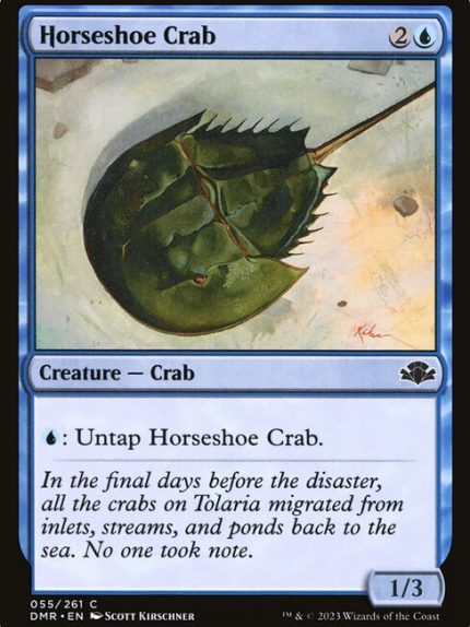 Horseshoe Crab
