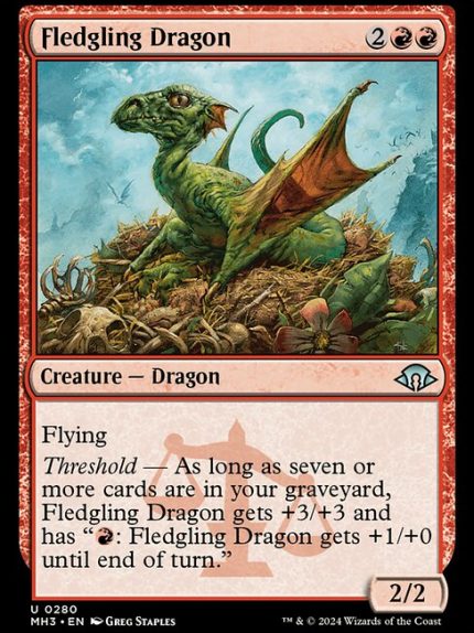 Fledgling Dragon