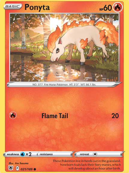 Ponyta